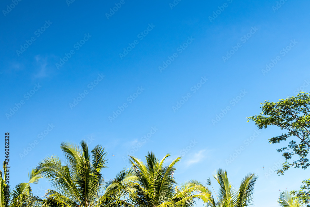 Wall mural Blue bright tropical sky background. Sunny day. Bali island, Indonesia.