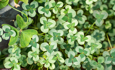 PCB Processing on CNC machine,Production of electronic components at high-tech factory