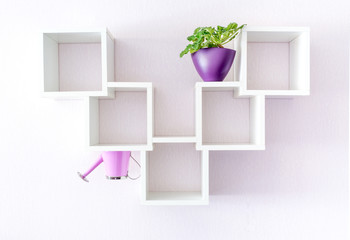 A modern white bookshelf on a white wall with a flower and a watering can, standing upside down. Creative minimalism style.