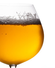 Back-lit Beer on White Background