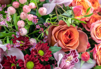 background of various flowers of different colors close-up