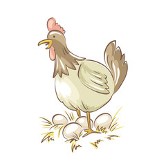 Chicken family. Vector illustration, Funny chicken with eggs