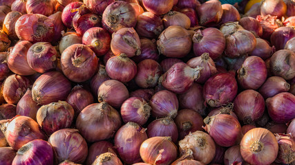 fresh purple red onions for sale in the floating market in Lake Inle