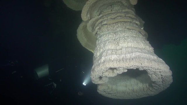 Diver and unique bell speleothems