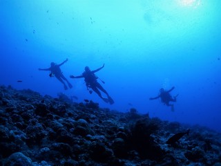 Fototapeta na wymiar Three divers are posing in the sea.