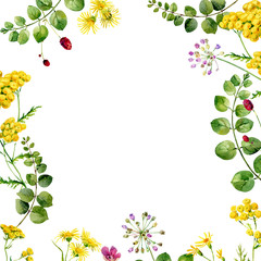 Flower watercolor frame