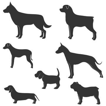 Vector silhouette of dog on white background. Collection of silhouettes of various dogs on a white background. Vector illustration.