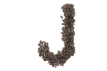 Alphabet from black sunflower seeds isolated on white background
