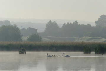Obraz na płótnie Canvas Morning's fog over the lake