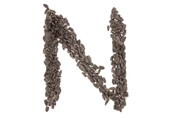 Alphabet from black sunflower seeds isolated on white background