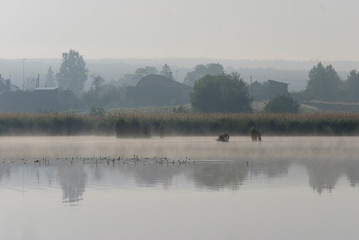 Obraz na płótnie Canvas Morning's fog over the lake