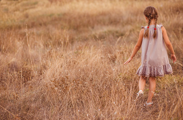 Fototapeta na wymiar Little girl on a wheat field.