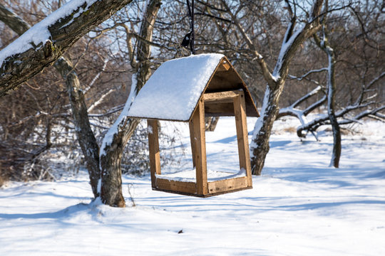 nesting box or feeding trough in winter snowy park