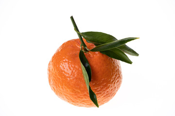 Organic Mandarine Tangerine isolated on pure white background