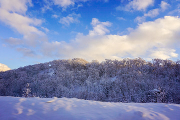 Beautiful Winter Landscape with Winter forest under the snow , powder snow on a road in, Hokkaido Japan