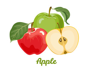 Apples isolated on white background. Red and green apples with leaves. Vector illustration of ripe fruits in cartoon flat style.