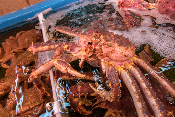 Fresh Japanese hair crab, King Crab of Hokkaido, Japan , Fresh Red King Crab