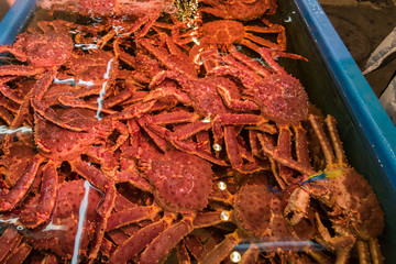 Fresh Japanese hair crab, King Crab of Hokkaido, Japan , Fresh Red King Crab