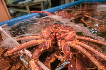 Fresh Japanese hair crab, King Crab of Hokkaido, Japan , Fresh Red King Crab