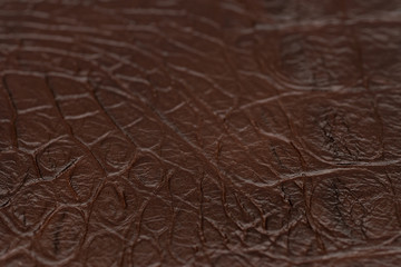 Crocodile leather for manufacturing of luxury shoes, clothes, bags and other fashion accessories, high quality natural seamless material sample, textured background.