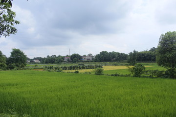 Fototapeta premium 乡间