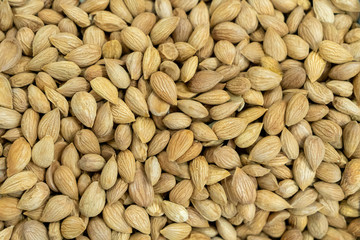 the texture of the almonds look on top