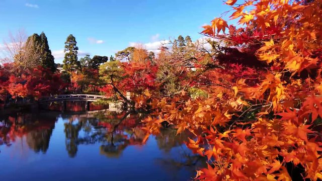 京都の永観堂禅林寺の紅葉