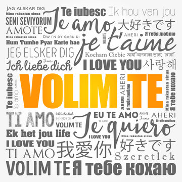 Volim te, I Love You in Croatian, in different languages of the world, word cloud background
