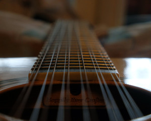 Guitar