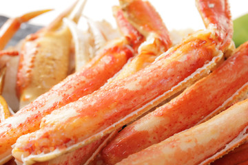 ずわいがに　Snow crab
