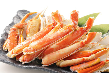 ずわいがに　Snow crab