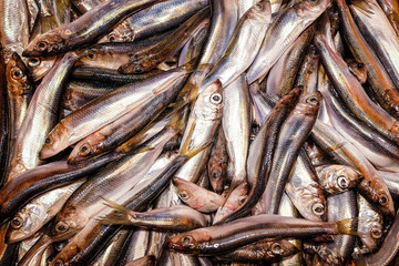 Obraz premium Baltic herring in fish market