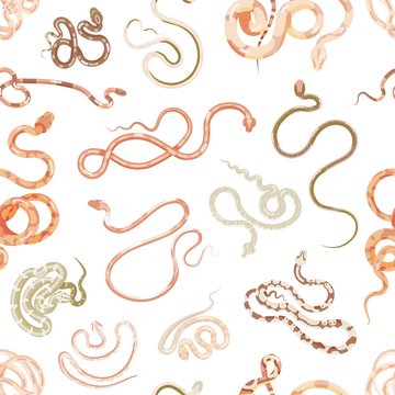 Elegant seamless pattern with snakes on white background. Backdrop with exotic legless reptiles, venomous predators, wild animals living in desert or tropical jungle. Flat cartoon vector illustration.