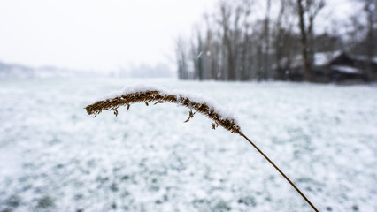 winter landscape with trees and snow