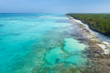 emerald coast around tropical island Zanzibar