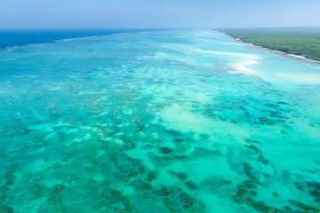 Fototapeta na wymiar emerald lagoon infant of reef on Zanzibar island