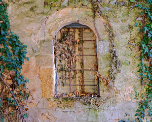 closed arched window on stone wall and ivy foliage