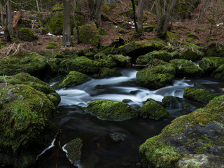 smooth motion of wild water in a river in winter with snow and ice on rocks and stones in the beautiful nature of a forest