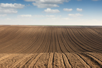 Fototapeta premium plowed field agriculture countryside landscape