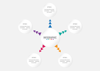 Business infographic template with 5 options circular shape
