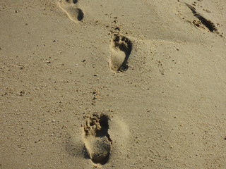 Traces