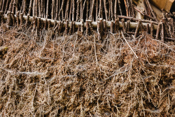 Detailed closuep of hay background