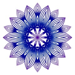 Beautiful Flower Mandalas. Decorative elements. Oriental pattern vector illustration. Islam, Arabic, Indian, pakistan, chinese motifs. Idea for your design, print, fashion. Blue, purple color