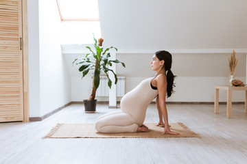 Pregnant woman stretching and training at home. Expectant female makes yoga exercise, healthy pregnancy concept - obrazy, fototapety, plakaty
