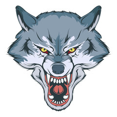 wolf head vector drawing, wolf face drawing sketch, wolf head colored drawing, vector graphics to design