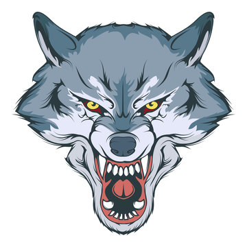 wolf head vector drawing, wolf face drawing sketch, wolf head colored  drawing, vector graphics to design Stock Vector | Adobe Stock