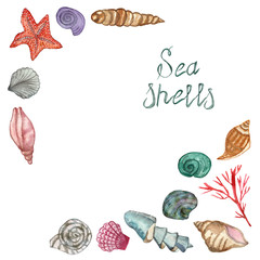 A set of sea shellfish painted in watercolor, isolated on a white background, with a calligraphic inscription. Hand painted for beautiful invitation design, greeting cards, posters and bags. Starfish 