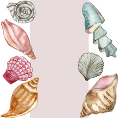 Watercolor vertical banner, seashells isolated on white background. Hand-painted composition for beautiful design of invitations, greeting cards, posters.