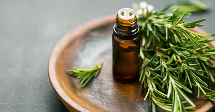 Rosemary essential oil with rosemary herb bunch