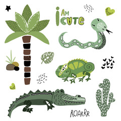 Cute African Animals 